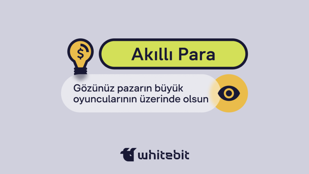 Akıllı Para Kavramı