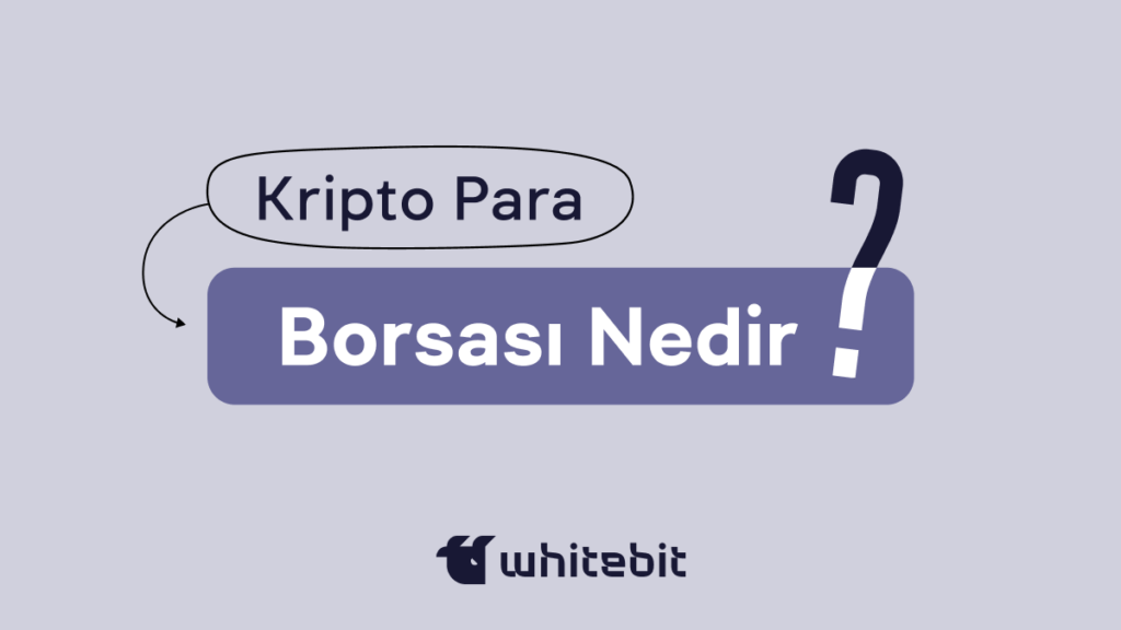 Kripto Para Borsası Nedir? Yeni Başlayanların Bilmesi Gereken Her Şey