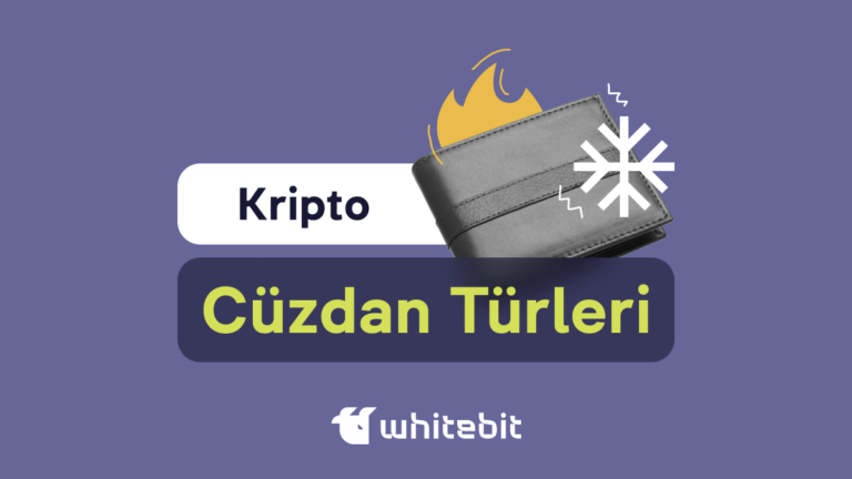 Kripto Cüzdan Türleri