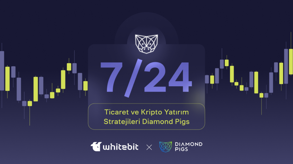 Diamond Pigs ile Tanışın: Yapay Zeka Destekli Otomatik Alım Satım Platformunuz