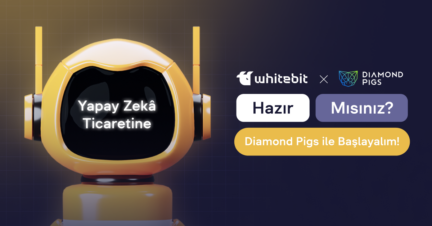 Yatırımlarınızı Diamond Pigs ile Optimize Edin