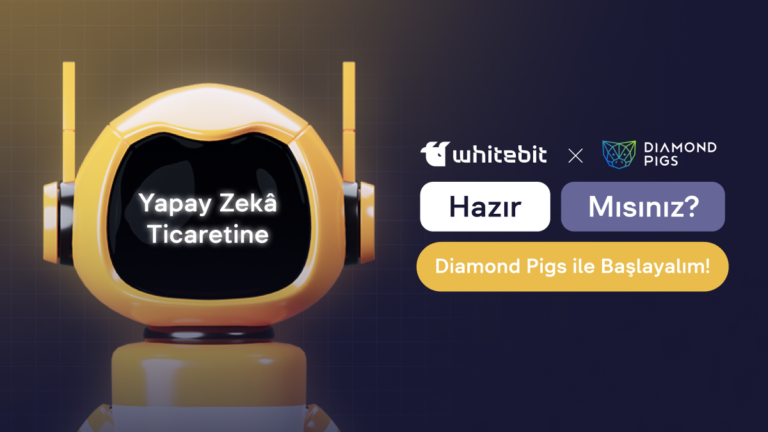 Yatırımlarınızı Diamond Pigs ile Optimize Edin