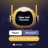 Yatırımlarınızı Diamond Pigs ile Optimize Edin