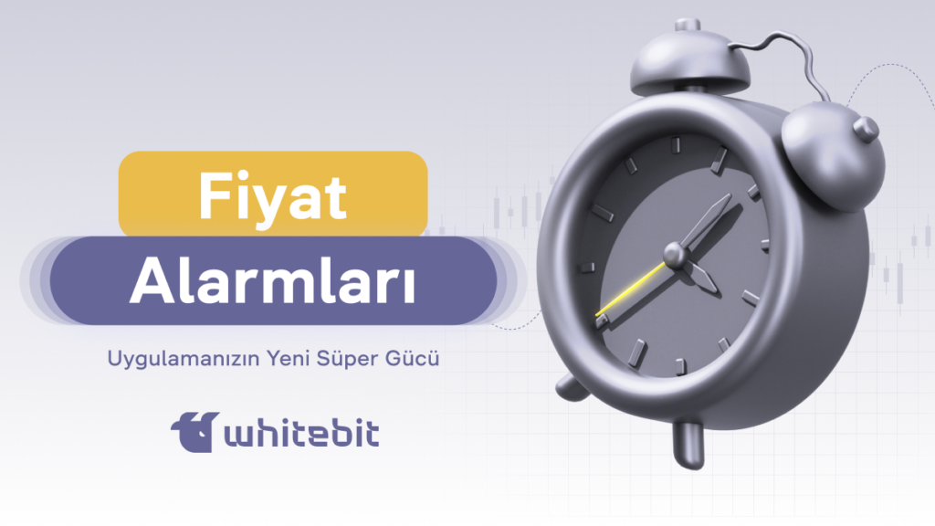 Fiyat Alarmları: Özelleştirilmiş Bildirimlerle Piyasayı Kontrol Et