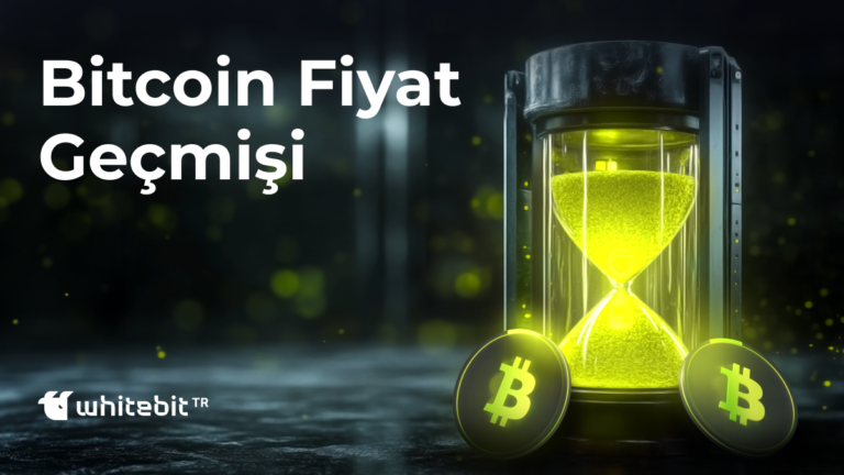 Bitcoin Fiyat Geçmişi