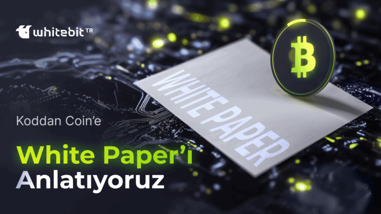 Kriptoda White Paper Nedir ve Niçin Önemlidir?