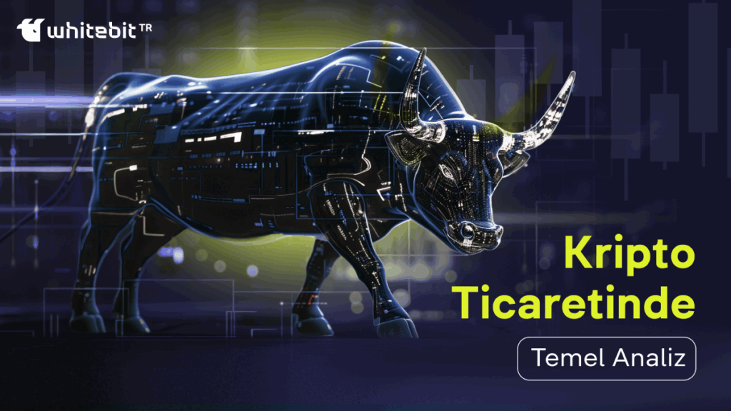 Kripto Ticaretinde Temel Analiz Nedir?