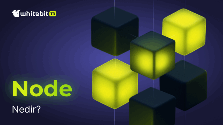 Kriptoda Node Ne Demek?