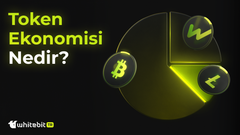 Tokenomics Nedir: Token Ekonomisini Açıklıyoruz!