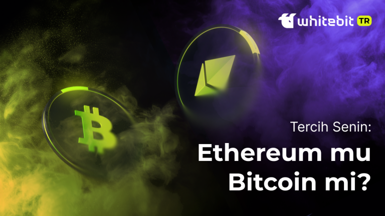 Devlerin Arenası: Bitcoin mi Ethereum mu?