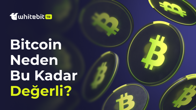Bitcoin Neden Bu Kadar Değerli: Hangi Faktörler ile Bitcoin Yükseliyor?