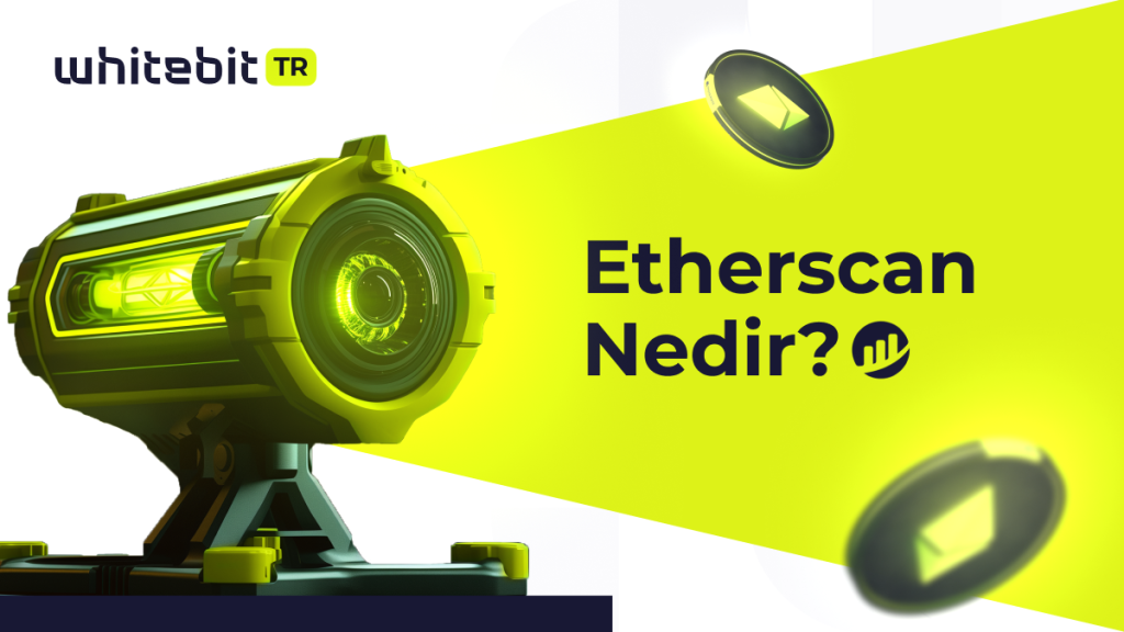 Ethereum’un Göz Bebeği: Etherscan Nasıl Kullanılır?