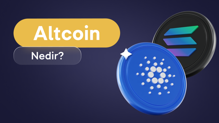 Altcoin Ne Demek?