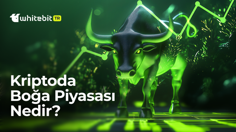 Kriptoda Boğa Sezonu Nedir?