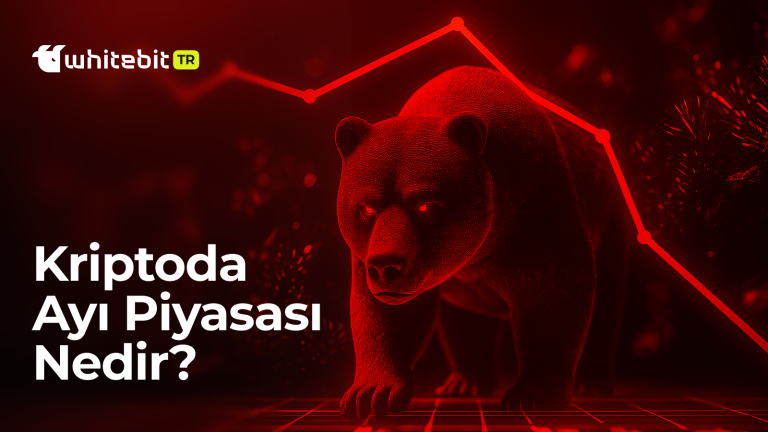 Kriptoda Ayı Sezonu Nedir?