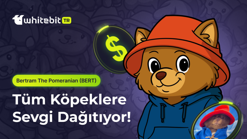 Bert The Pomeranian (BERT) Token Nedir?