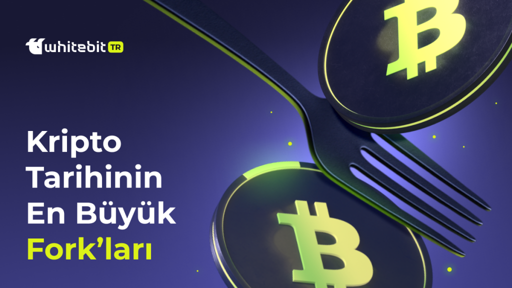 Kripto Tarihine Damga Vuran Coin Forklar