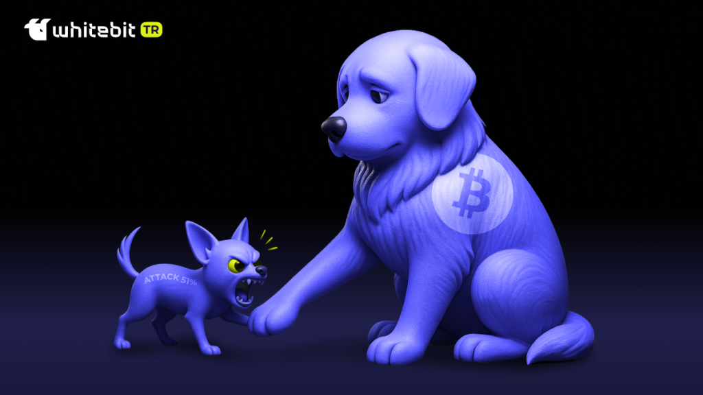 Blok Zincirlerini Hedef Alan %51 Saldırısı Nedir?