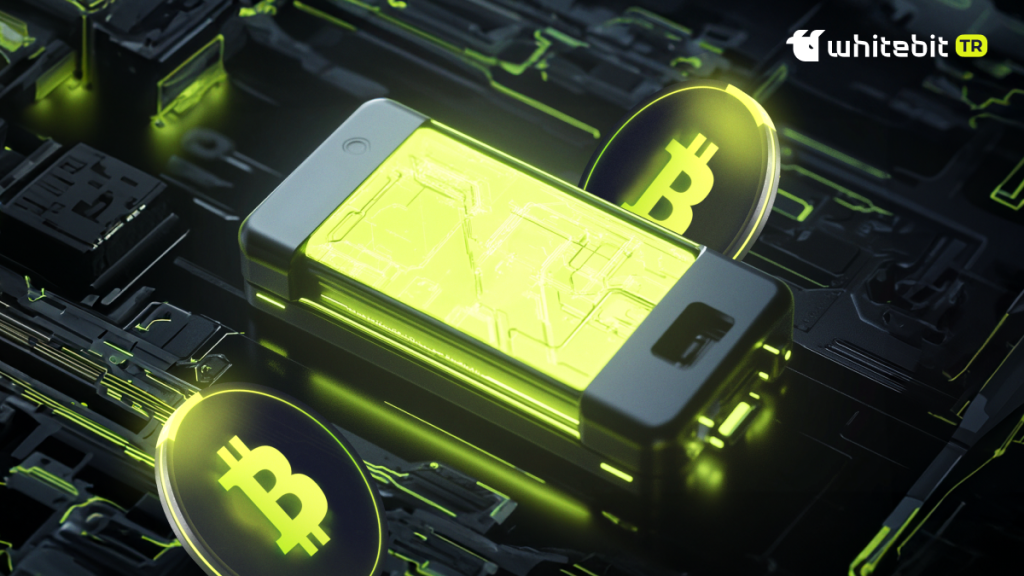 Bir Kripto Donanım Cüzdanı Nedir ve Ne İşe Yarar?