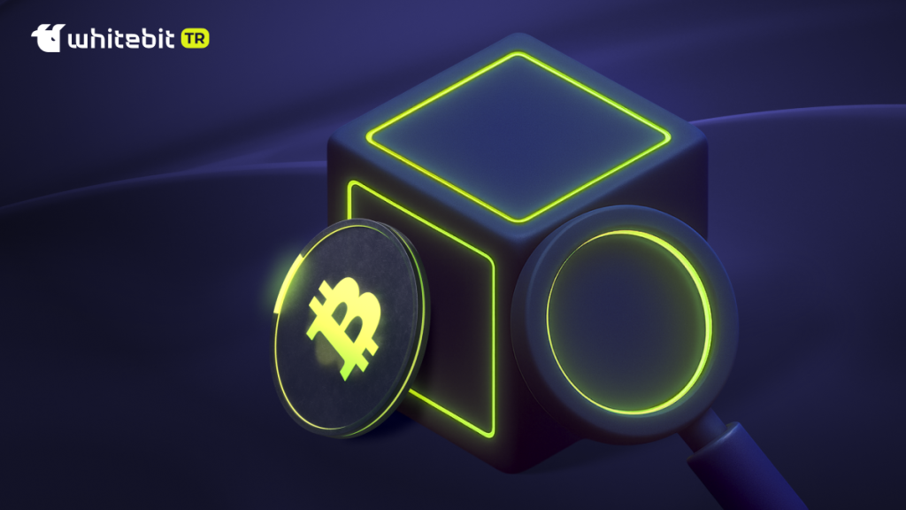 BTC Blockchain Explorer: Blok Zinciri Gezgini Hakkında Her Şey