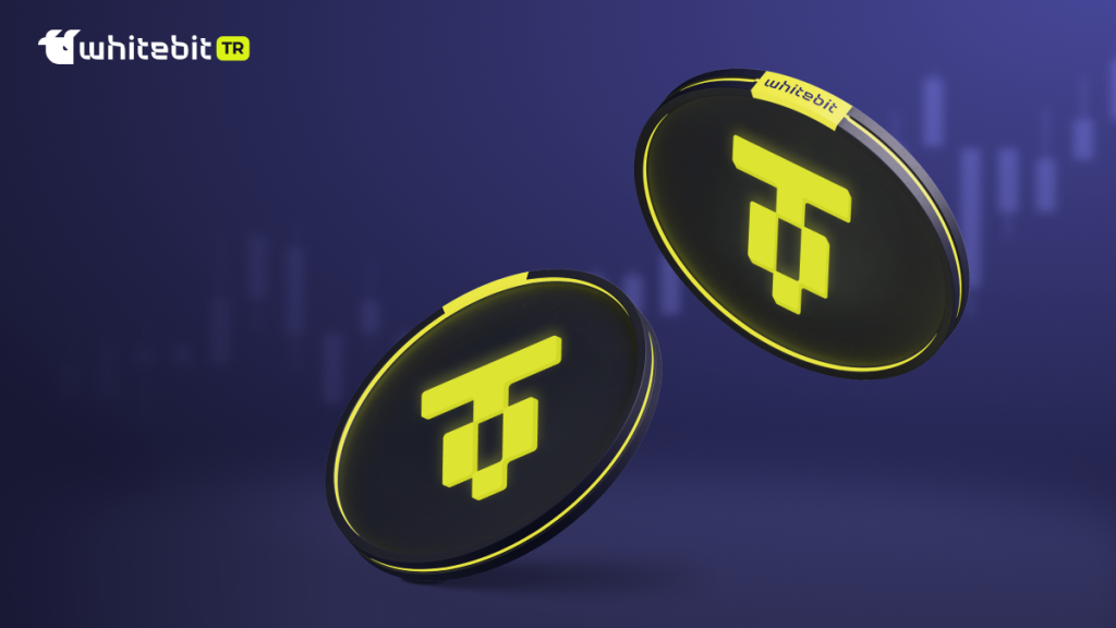 USDT0 Nedir? Tüm Ağlarda Likidite Nasıl Çalışır?